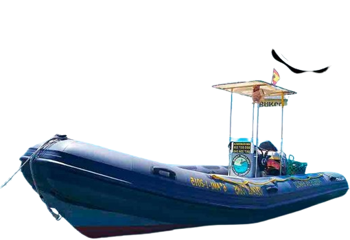 Excursiones Programadas <span>Disfrute de unos</span> entornos únicos